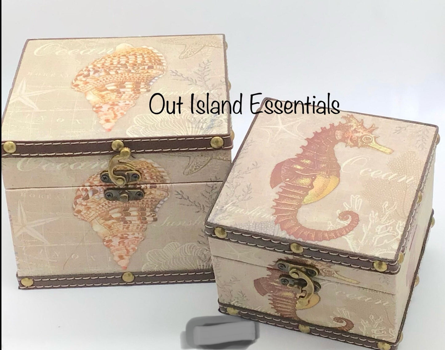 Seashell Box I Seashell Trinket Box I Gift Box I Seashell Display Box I Coastal Decorations I Coffee Table Decor I Seashell Wooden Box