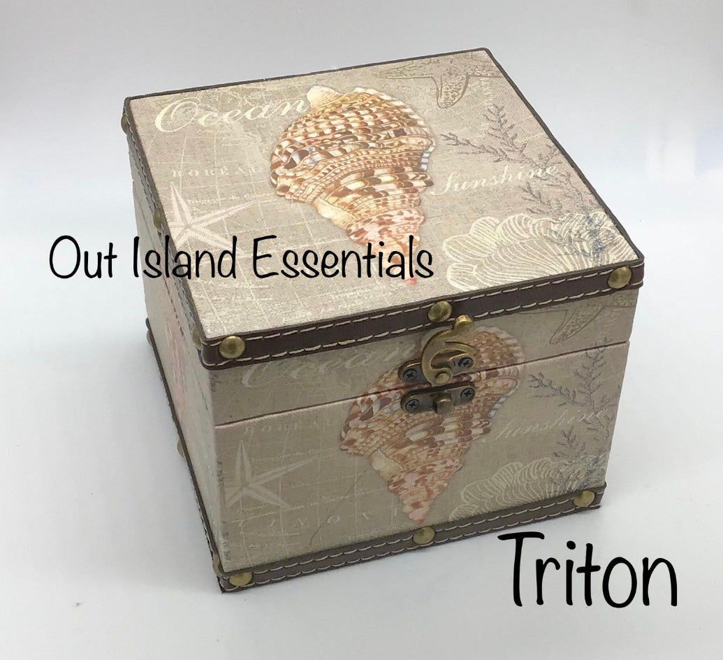 Seashell Box I Seashell Trinket Box I Gift Box I Seashell Display Box I Coastal Decorations I Coffee Table Decor I Seashell Wooden Box