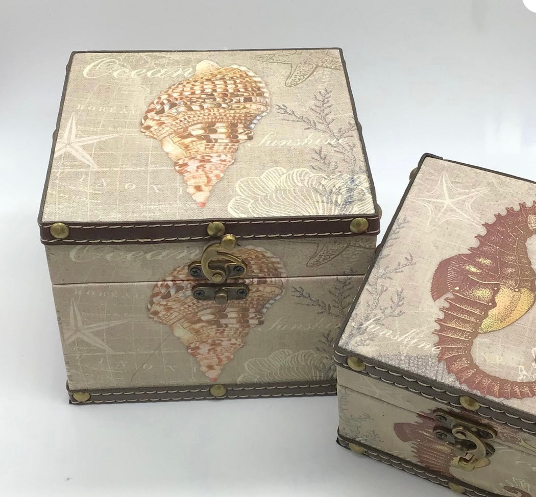 Seashell Box I Seashell Trinket Box I Gift Box I Seashell Display Box I Coastal Decorations I Coffee Table Decor I Seashell Wooden Box