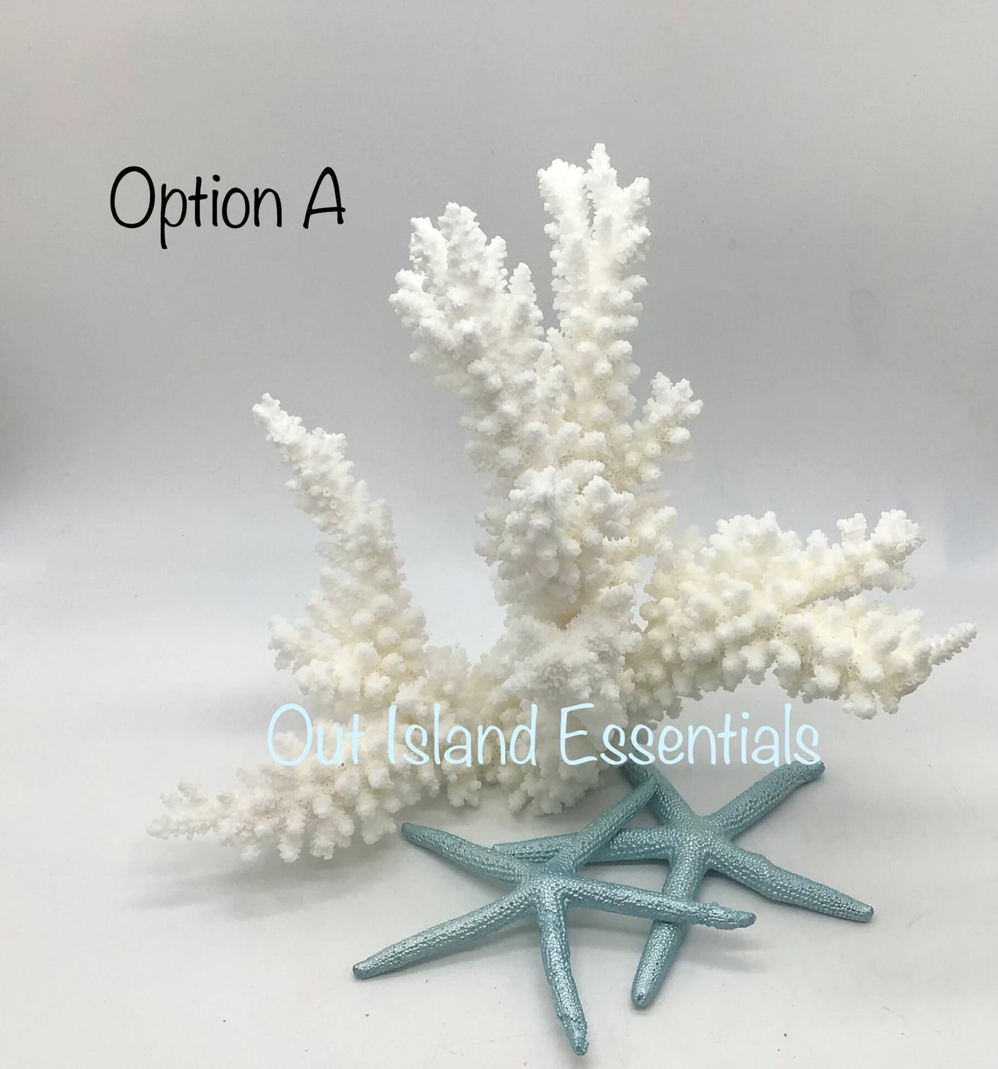 Stunning White Branch Coral Authentic White Ocean Coral All White Ocean Coral Centerpiece