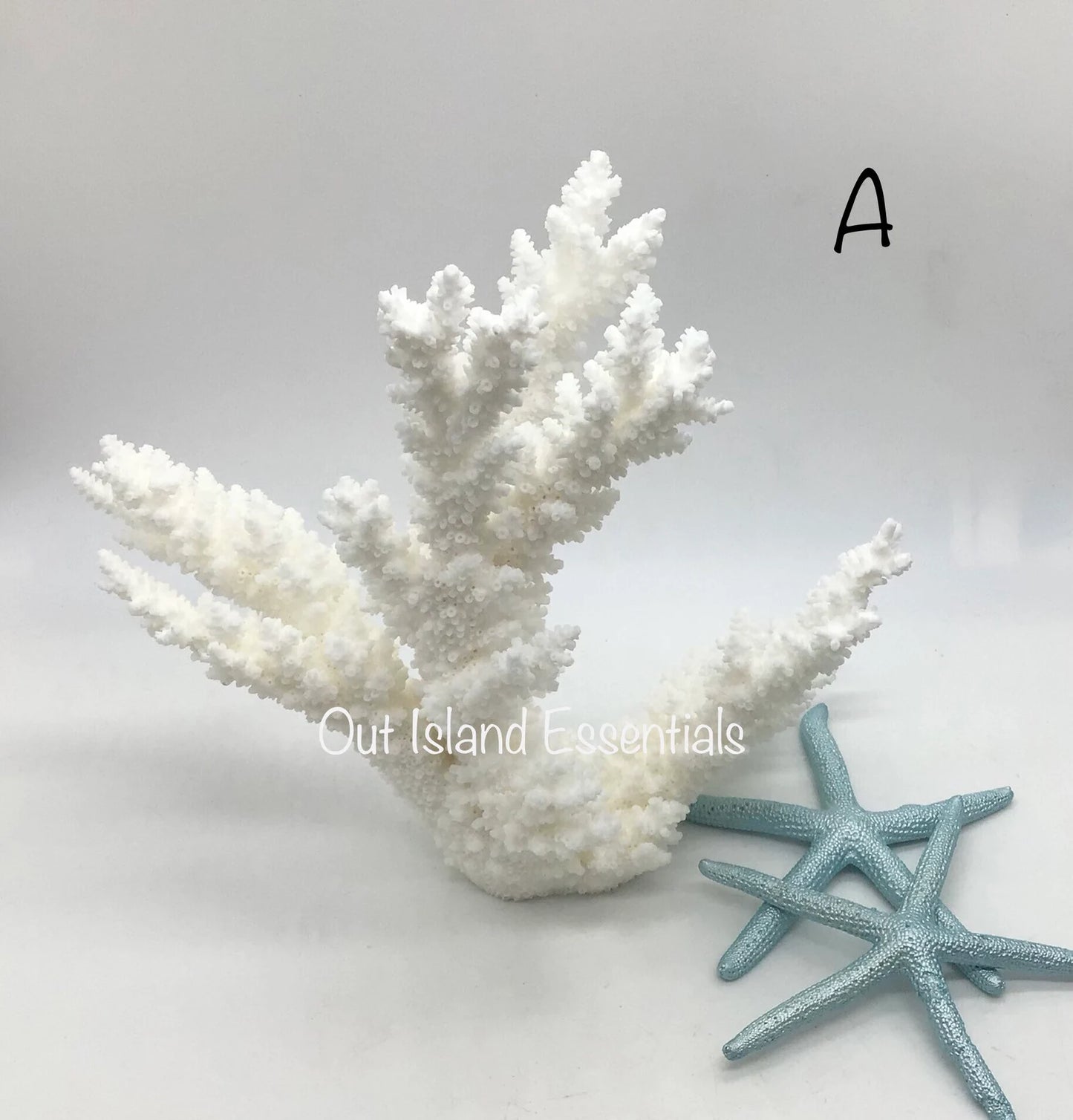 Stunning White Branch Coral Authentic White Ocean Coral All White Ocean Coral Centerpiece