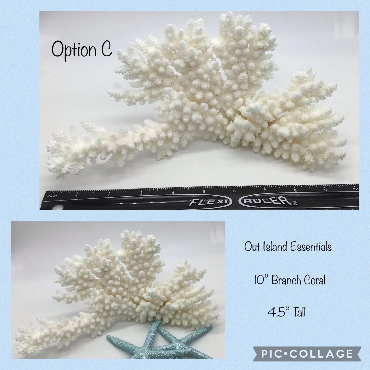 Stunning White Branch Coral Authentic White Ocean Coral All White Ocean Coral Centerpiece