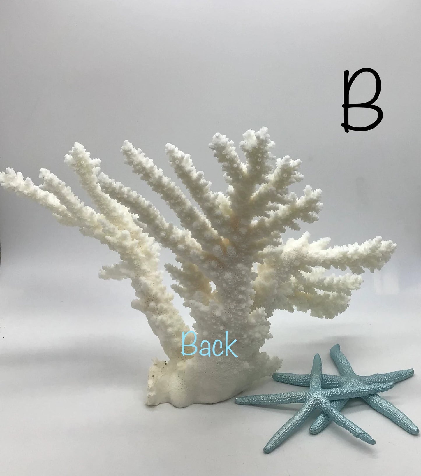 Stunning White Branch Coral Authentic White Ocean Coral All White Ocean Coral Centerpiece