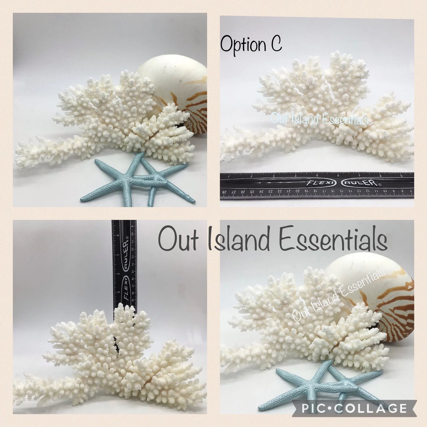 Stunning White Branch Coral Authentic White Ocean Coral All White Ocean Coral Centerpiece