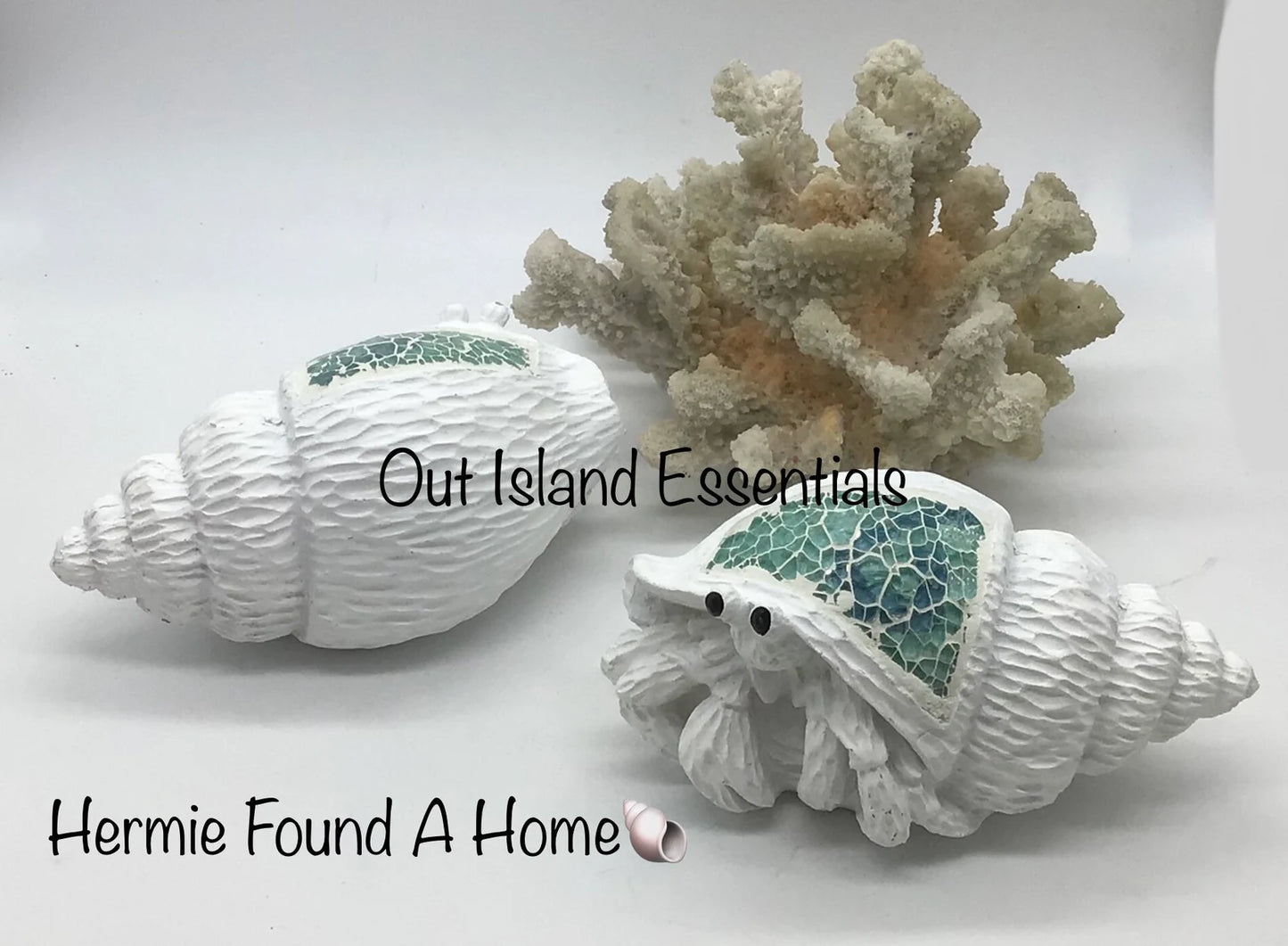 Hermit Crab In Hiding Statue I Hermit Crab Lover I Hermit Crab Decor I Hermit Crab Coastal Decor