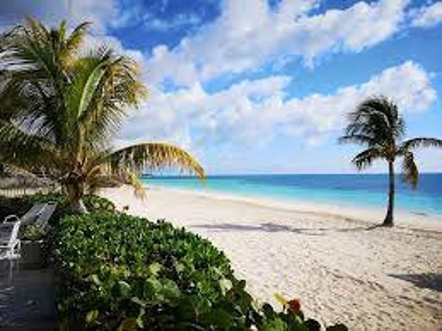 Authentic Coral Beach Sand | Bahamas Beach Sand | Grand Bahama Sand | White Fairy Garden Sand | Powdery White Wedding Or Honeymoon Sand
