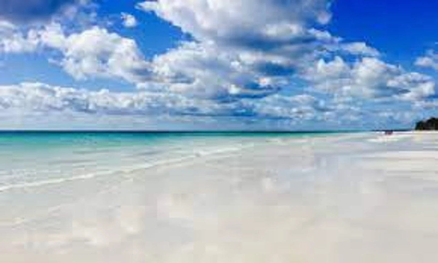 Authentic Coral Beach Sand | Bahamas Beach Sand | Grand Bahama Sand | White Fairy Garden Sand | Powdery White Wedding Or Honeymoon Sand