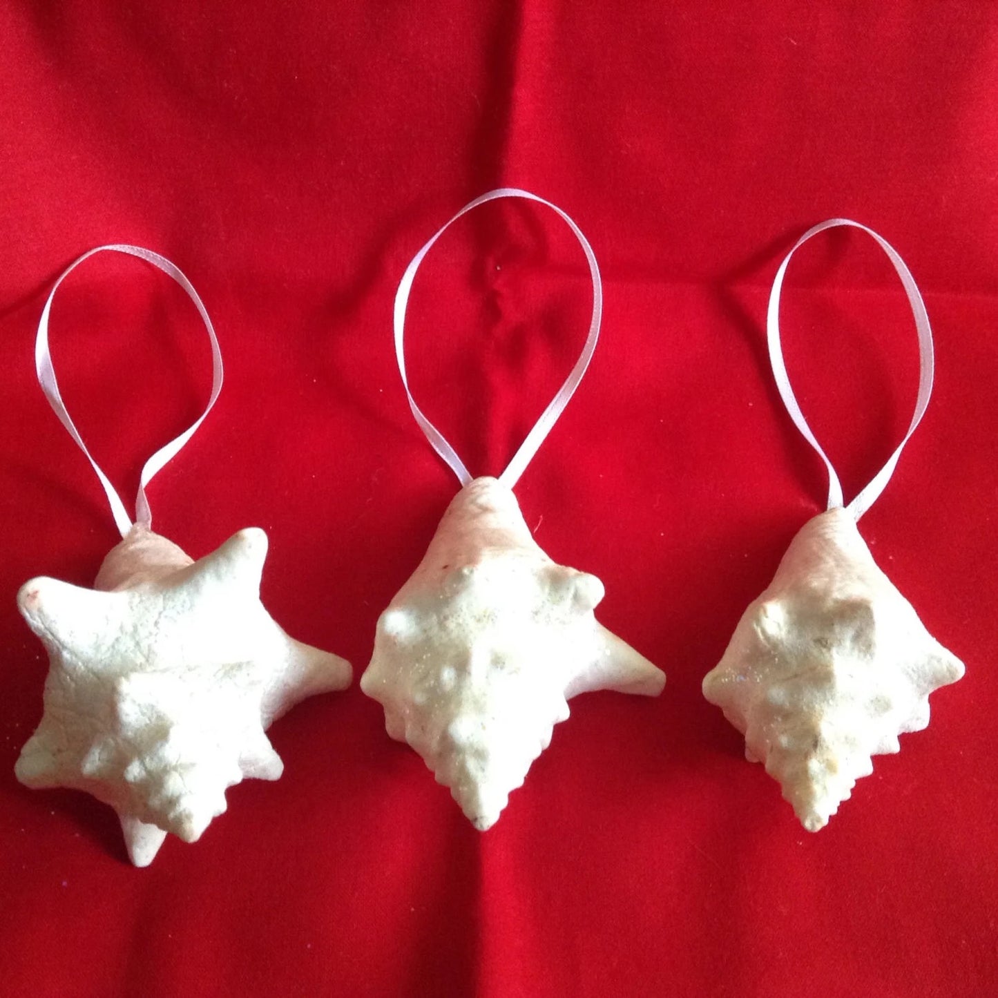 Conch Shell Ornament, Conch Shell, Glitter Conch Shell, Coastal Decor, Seashell Christmas Ornament