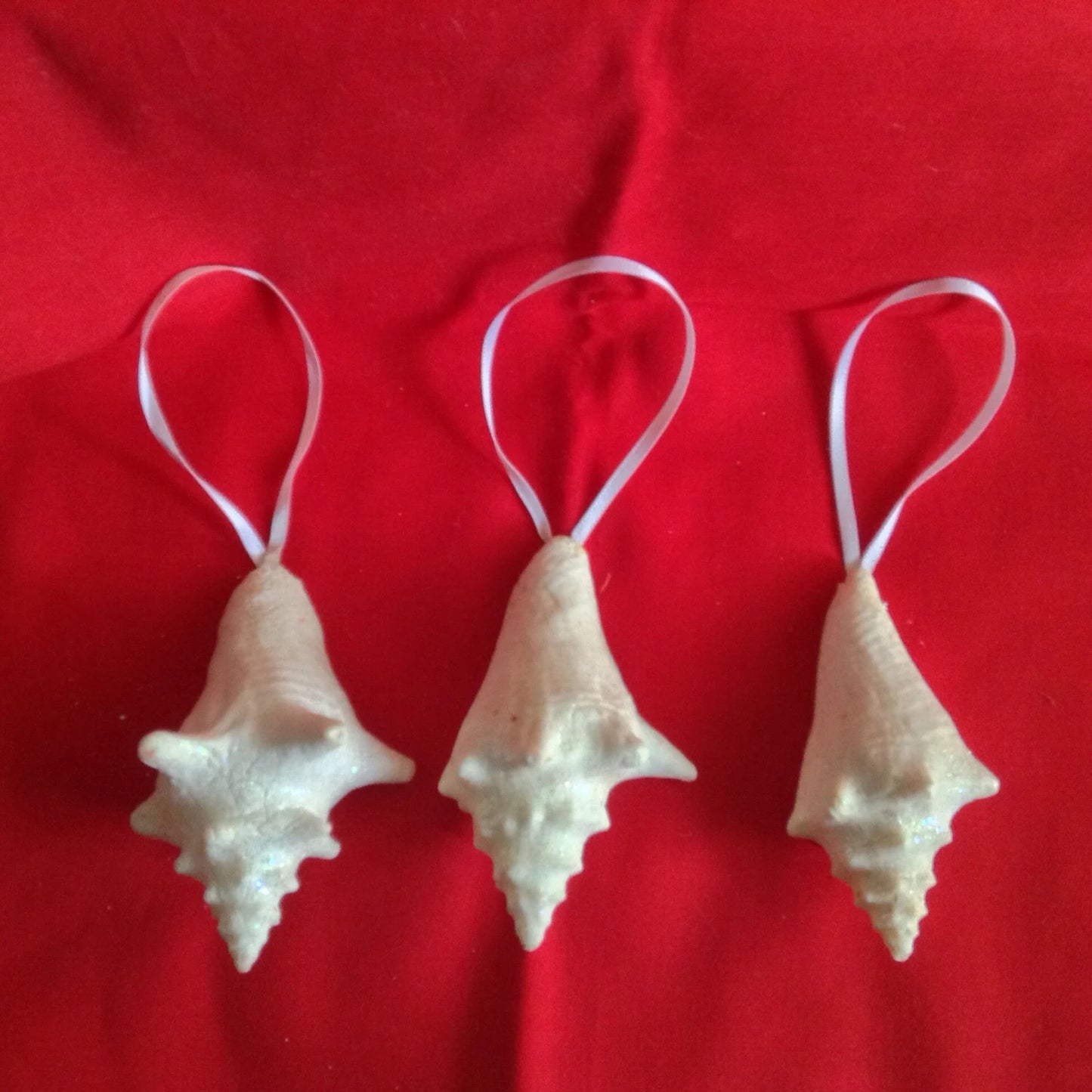 Conch Shell Ornament, Conch Shell, Glitter Conch Shell, Coastal Decor, Seashell Christmas Ornament