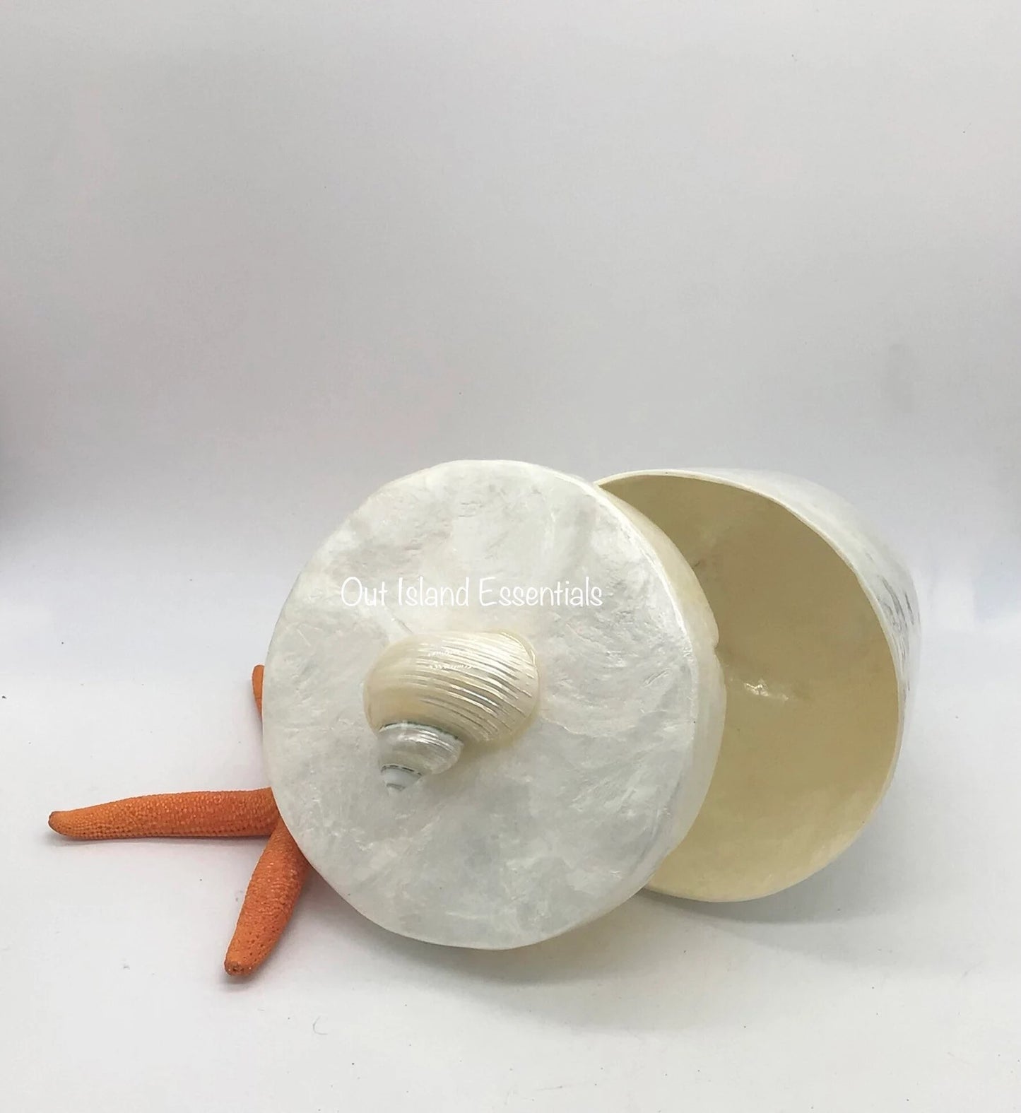 Abalone Display Box I Seashell Decorative Display Box