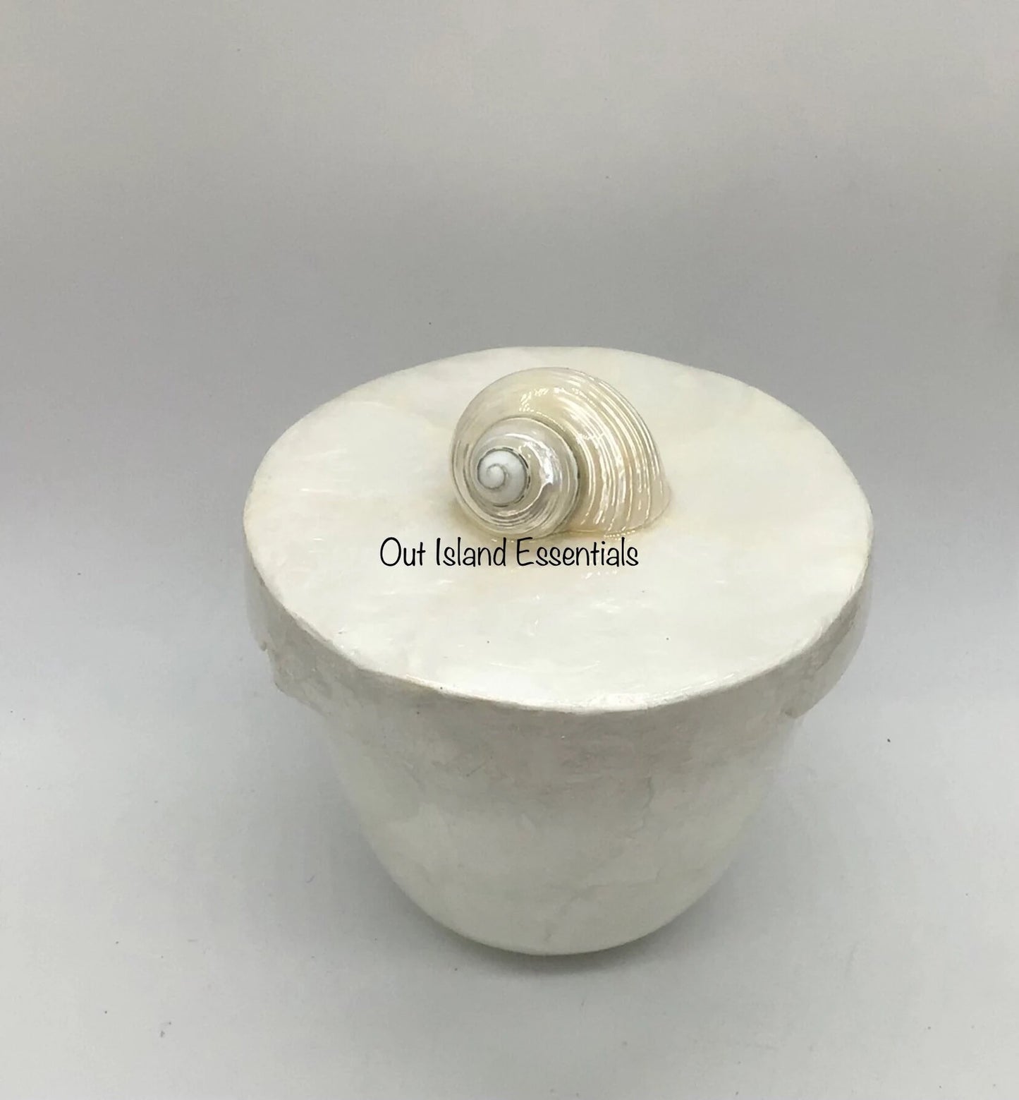 Abalone Display Box I Seashell Decorative Display Box