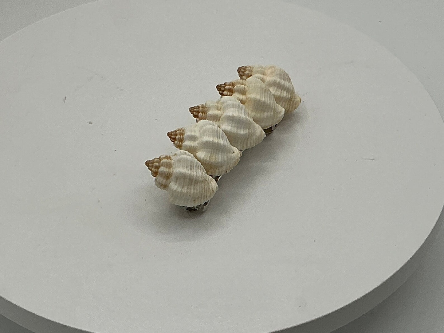 Artisan Handmade Seashell Hair Clip Seashell Coastal Hair Barrette Mermaid Hair Clips