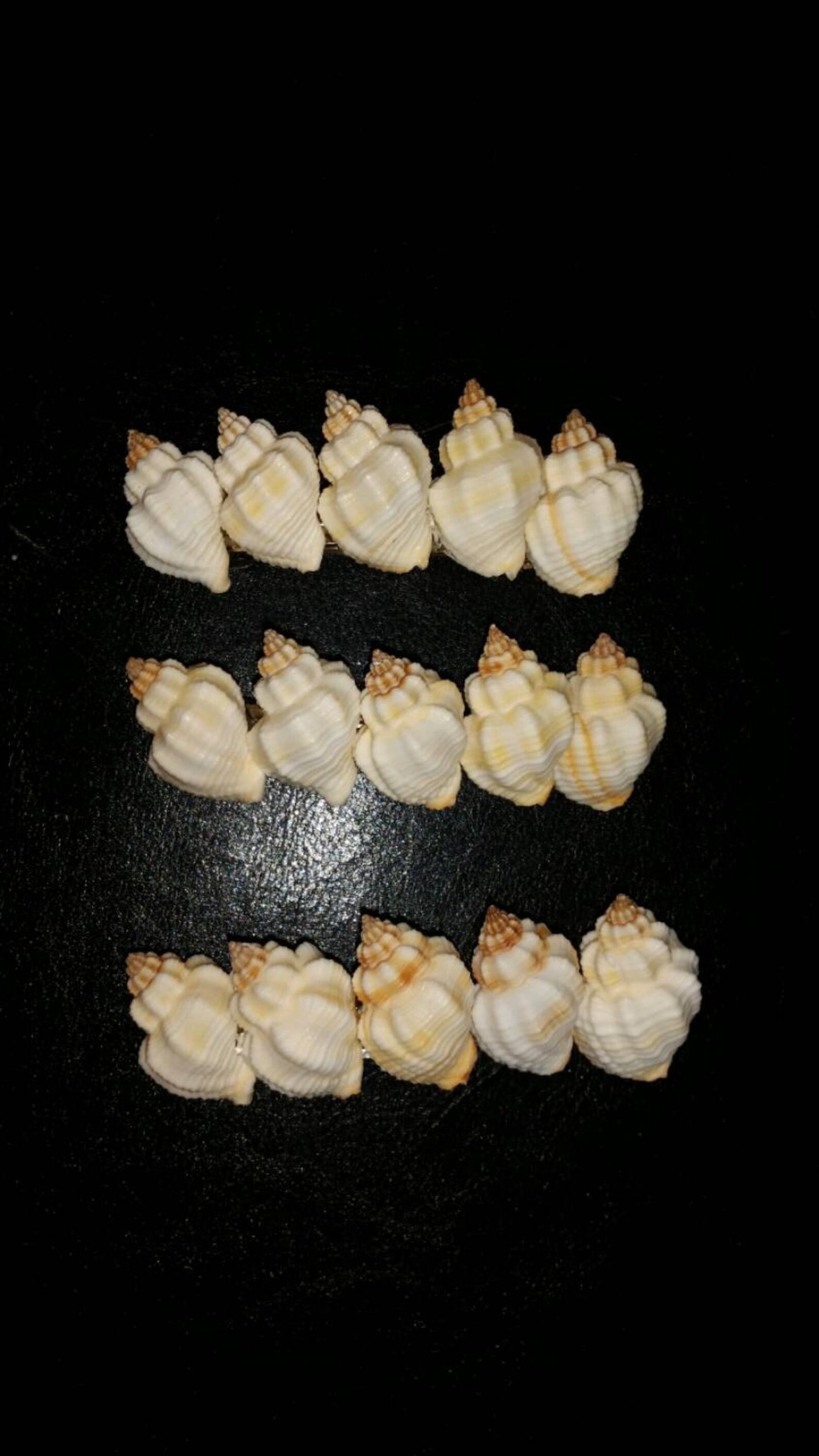 Artisan Handmade Seashell Hair Clip Seashell Coastal Hair Barrette Mermaid Hair Clips