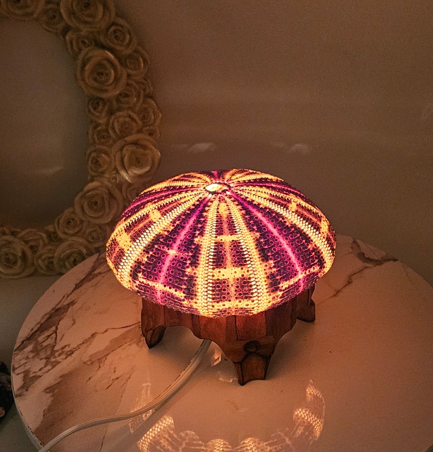 5" Giant Sea Urchin Mounted Coastal Ambient Lighting