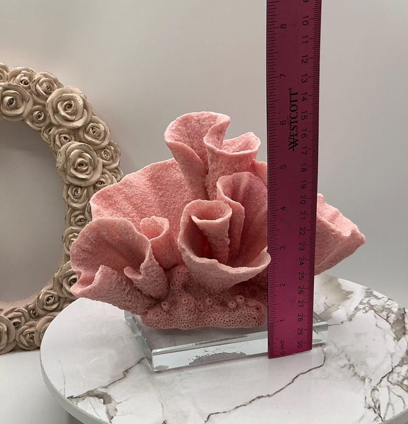 aux Pink Cup Coral Display | Coral Decoration | Eco Friendly Coral | Display Coral On Glass Block | Faux Coral Decor With Clear Glass Base