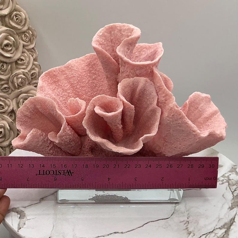 aux Pink Cup Coral Display | Coral Decoration | Eco Friendly Coral | Display Coral On Glass Block | Faux Coral Decor With Clear Glass Base