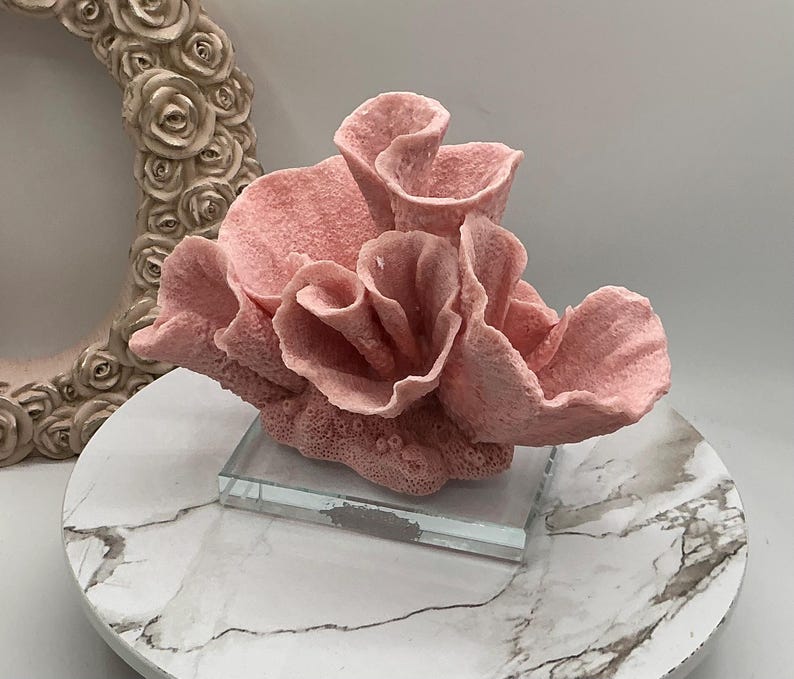 aux Pink Cup Coral Display | Coral Decoration | Eco Friendly Coral | Display Coral On Glass Block | Faux Coral Decor With Clear Glass Base