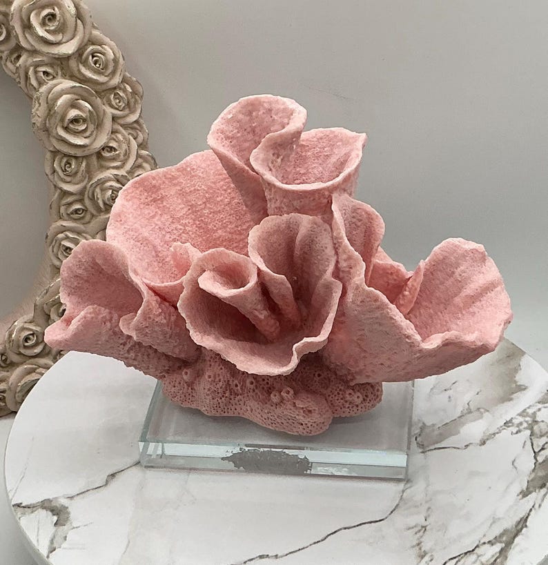 aux Pink Cup Coral Display | Coral Decoration | Eco Friendly Coral | Display Coral On Glass Block | Faux Coral Decor With Clear Glass Base
