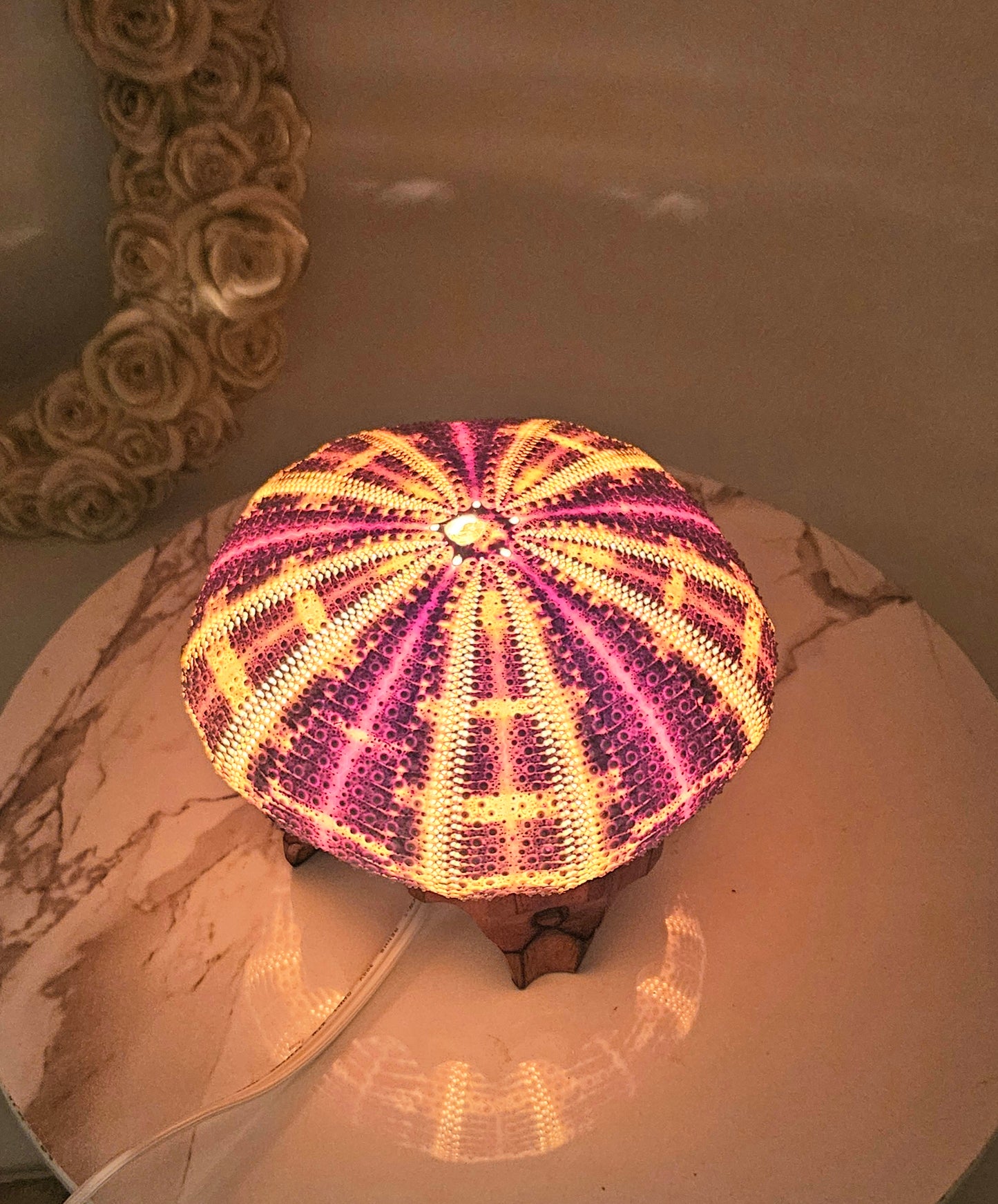 5" Giant Sea Urchin Mounted Coastal Ambient Lighting