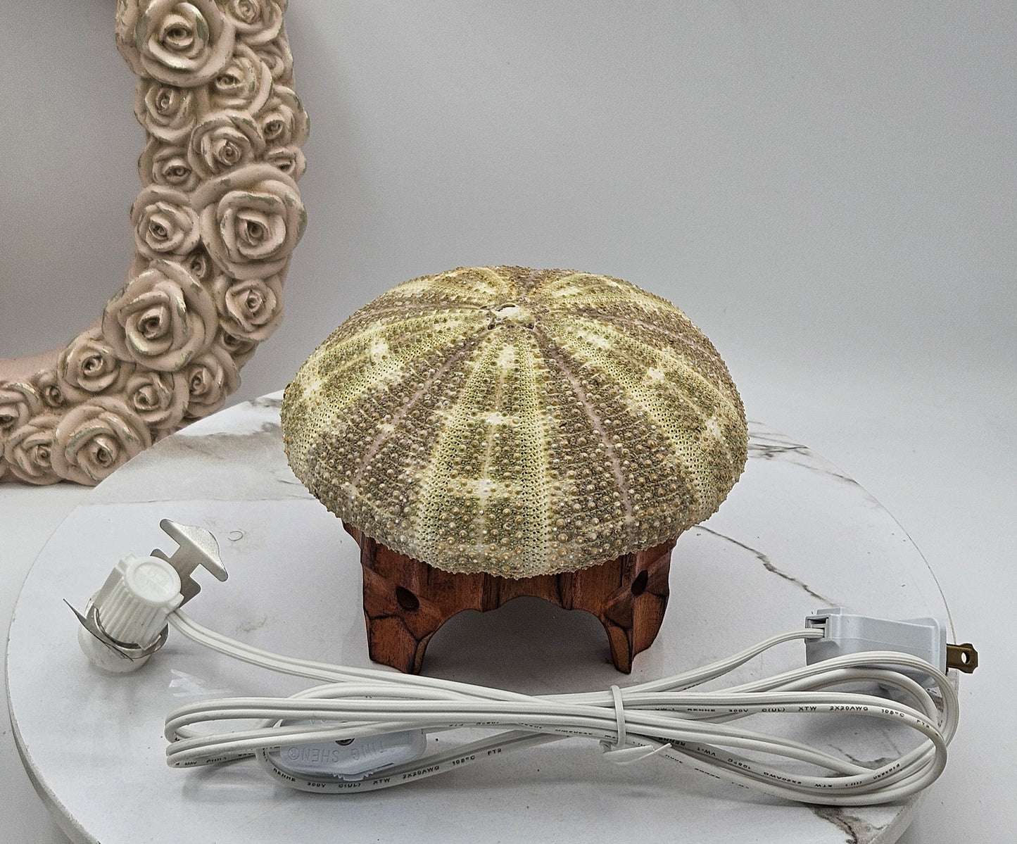 5" Giant Sea Urchin Mounted Coastal Ambient Lighting