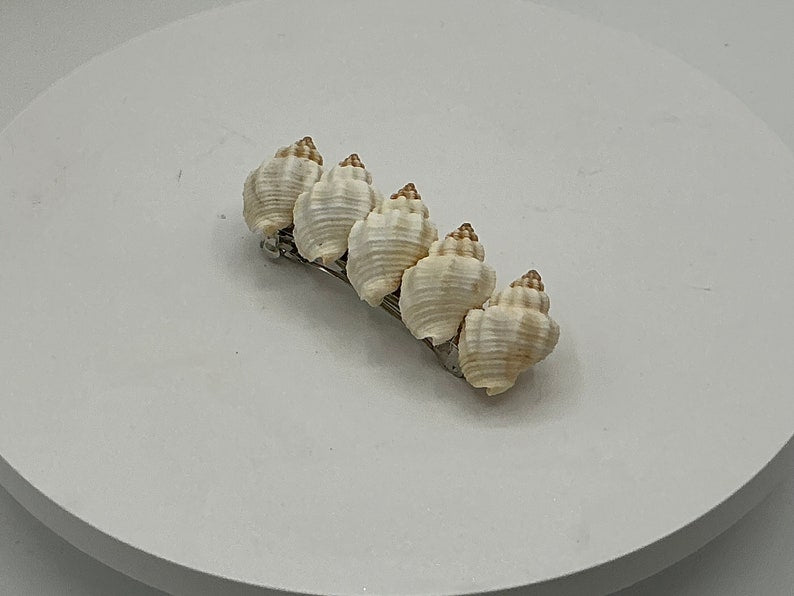 Seashell Hair Clip I Mermaid Hair Clips I Coastal Hair Clip I Seashell Hair Clip I Coastal Hair Accessories