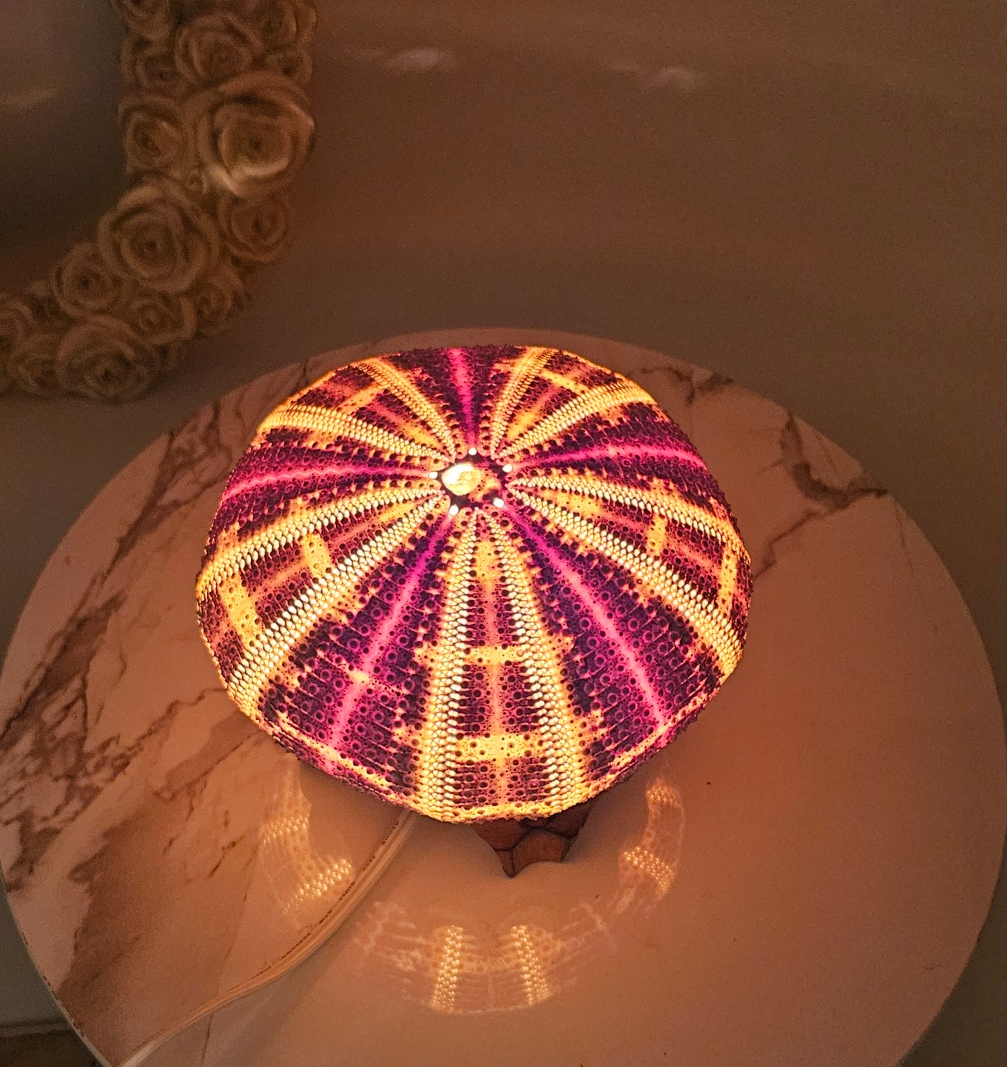 5" Giant Sea Urchin Mounted Coastal Ambient Lighting