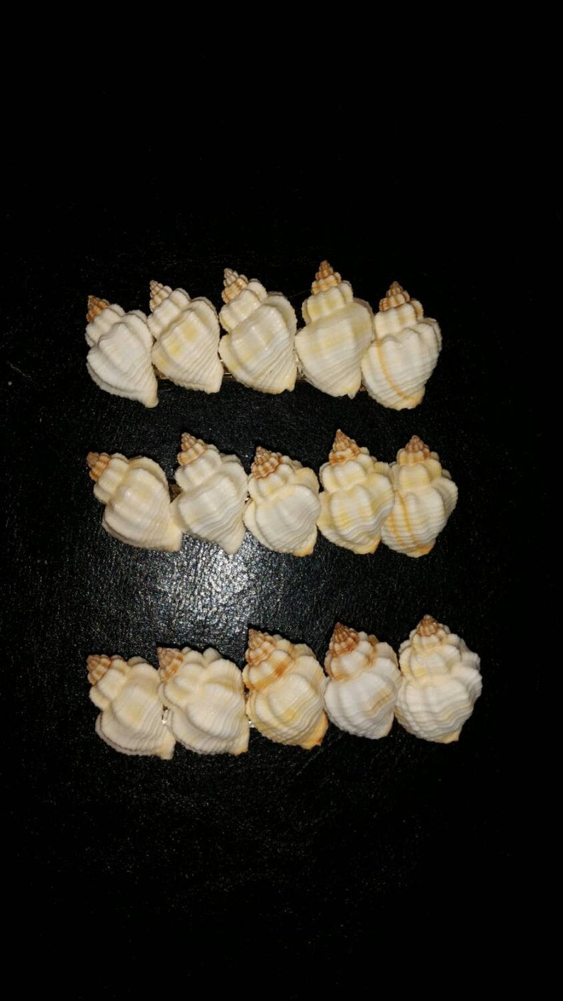 Seashell Hair Clip I Mermaid Hair Clips I Coastal Hair Clip I Seashell Hair Clip I Coastal Hair Accessories