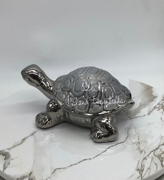 Speedy The Turtle StatueI Turtle Love I Coastal Turtle Decor I Stunning Turtle Statue I Coastal Decor