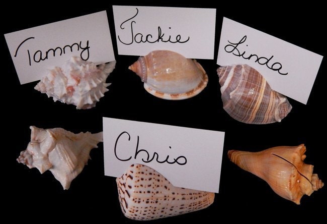 Placecard Holders, Seashell Card Holders, Seashell Placecard Holders, Wedding Favors, Coastal Wedding Decor