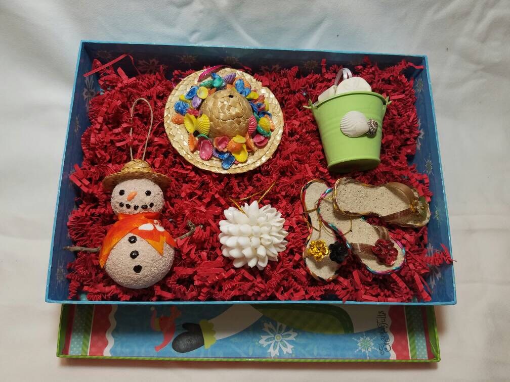 7 Pack Gift Box of Assorted Christmas ornaments, Seashell Christmas Ornament Gift, Coastal Gift, Coastal Christmas Gift