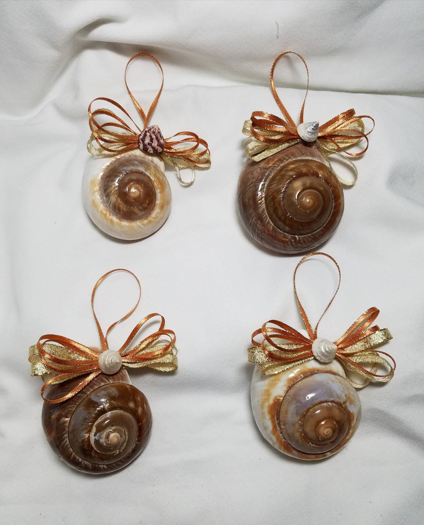 Mountain Snail Shell, Shell Ornaments, Christmas Ornament, Coastal Christmas Ornament, Seashell Christmas Ornament, Christmas Seashell