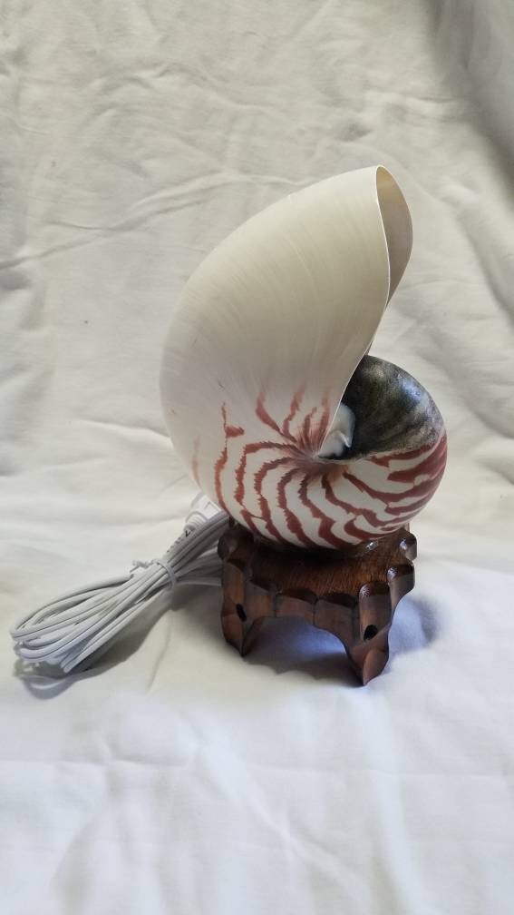 Nautilus Shell Light, Triton Shell Light, Coastal Seashell Lights, Murex Shell Lights