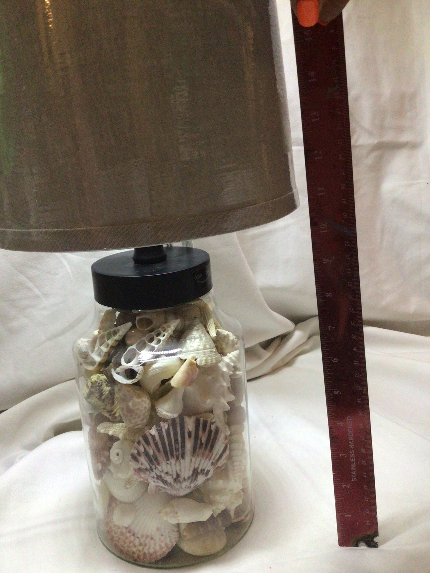 OOAK Coastal Seashell Lamp, Real Seashells Decor Light, Coastal Cottage Lighting
