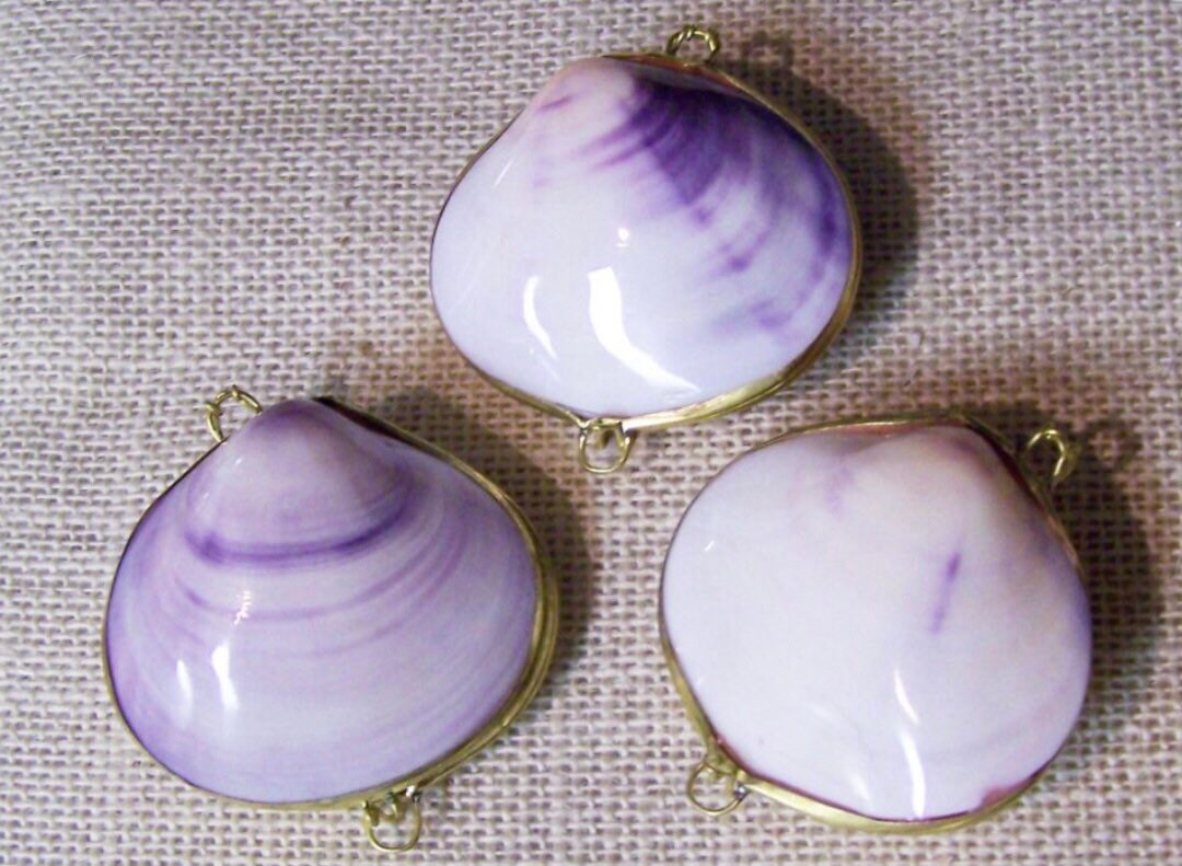 Seashell Coin Purse I Seashell Pill Box I Seashell Ring Holder I Shell Purse I Coastal Wedding Ring Pillow I Seashell Trinket Box