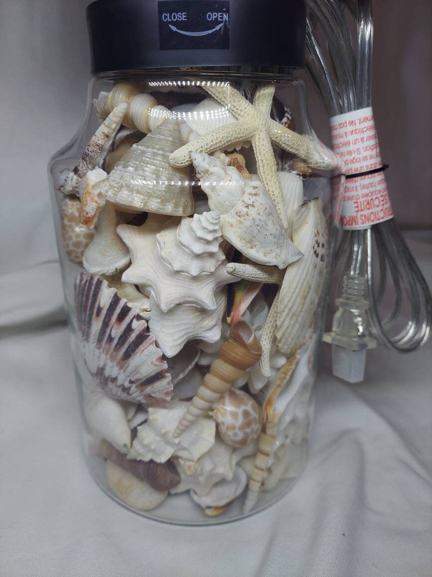 OOAK Coastal Seashell Lamp, Real Seashells Decor Light, Coastal Cottage Lighting