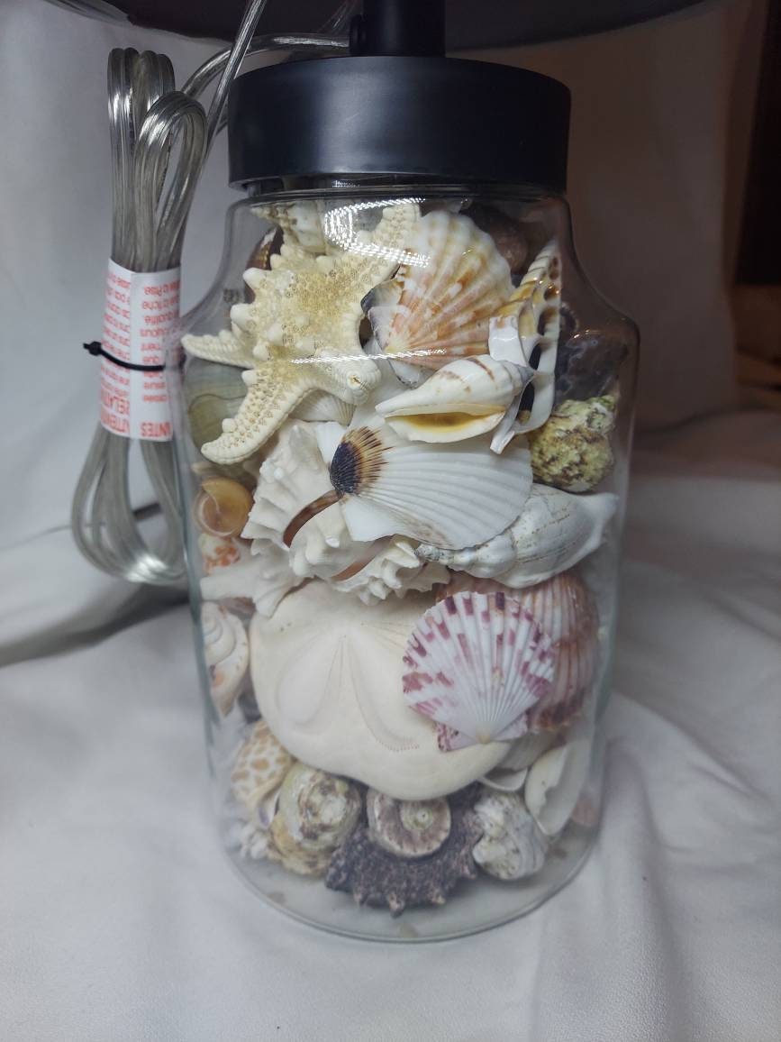 OOAK Coastal Seashell Lamp, Real Seashells Decor Light, Coastal Cottage Lighting