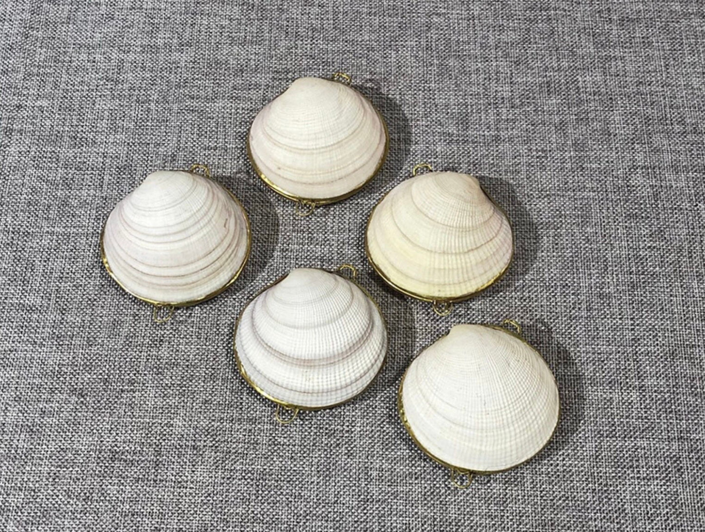 Seashell Coin Purse I Seashell Pill Box I Seashell Ring Holder I Shell Purse I Coastal Wedding Ring Pillow I Seashell Trinket Box