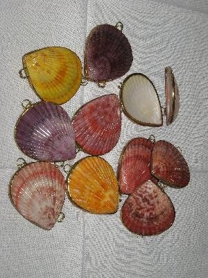 Seashell Coin Purse I Seashell Pill Box I Seashell Ring Holder I Shell Purse I Coastal Wedding Ring Pillow I Seashell Trinket Box