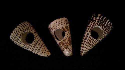 Coastal Napkin Ring Holders I Napkin Rings I Coastal Dinning I Coastal Cottage Decor I Coastal Place Settings