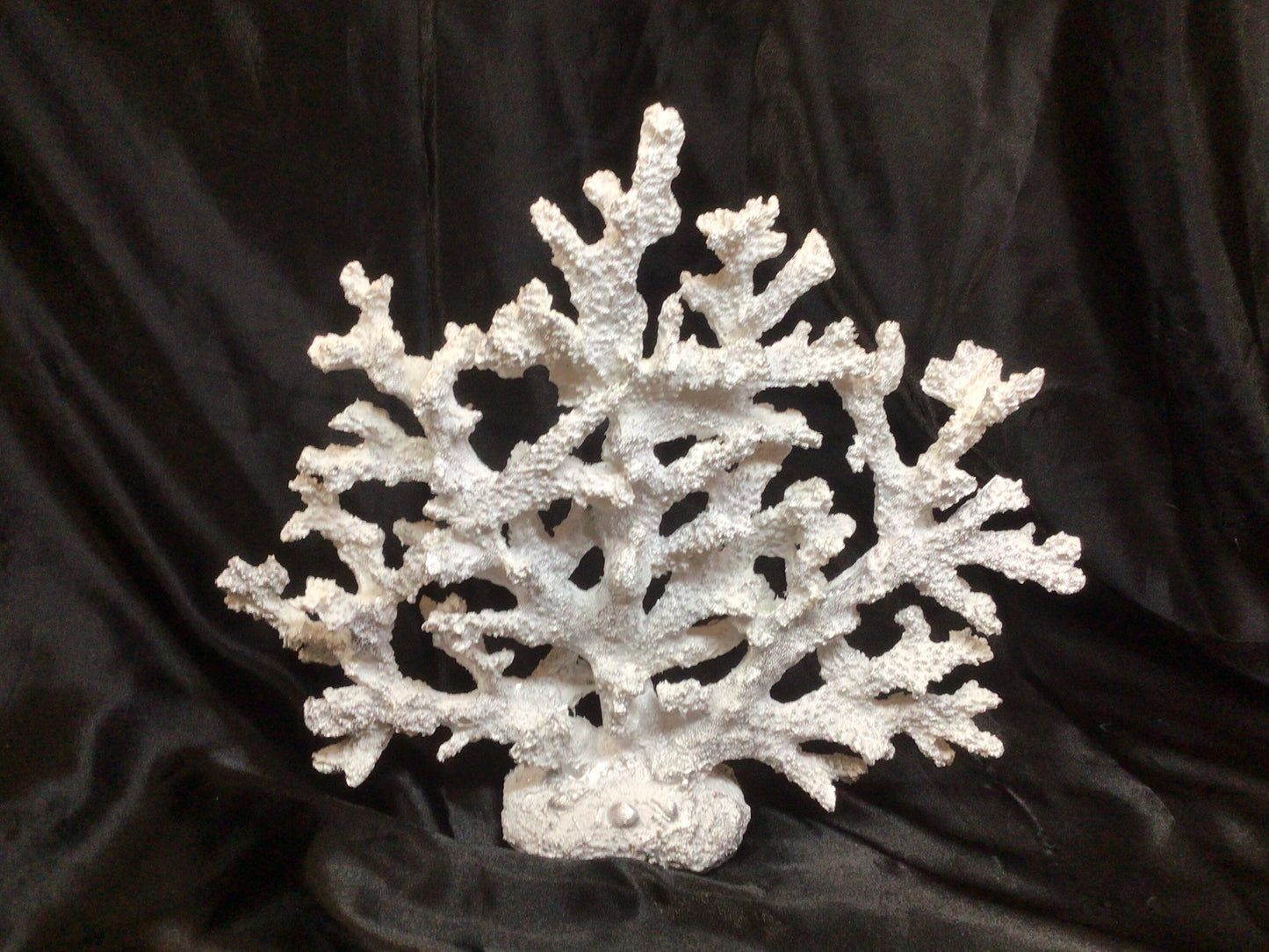 Faux Coral Display | Eco Friendly Coral Decor