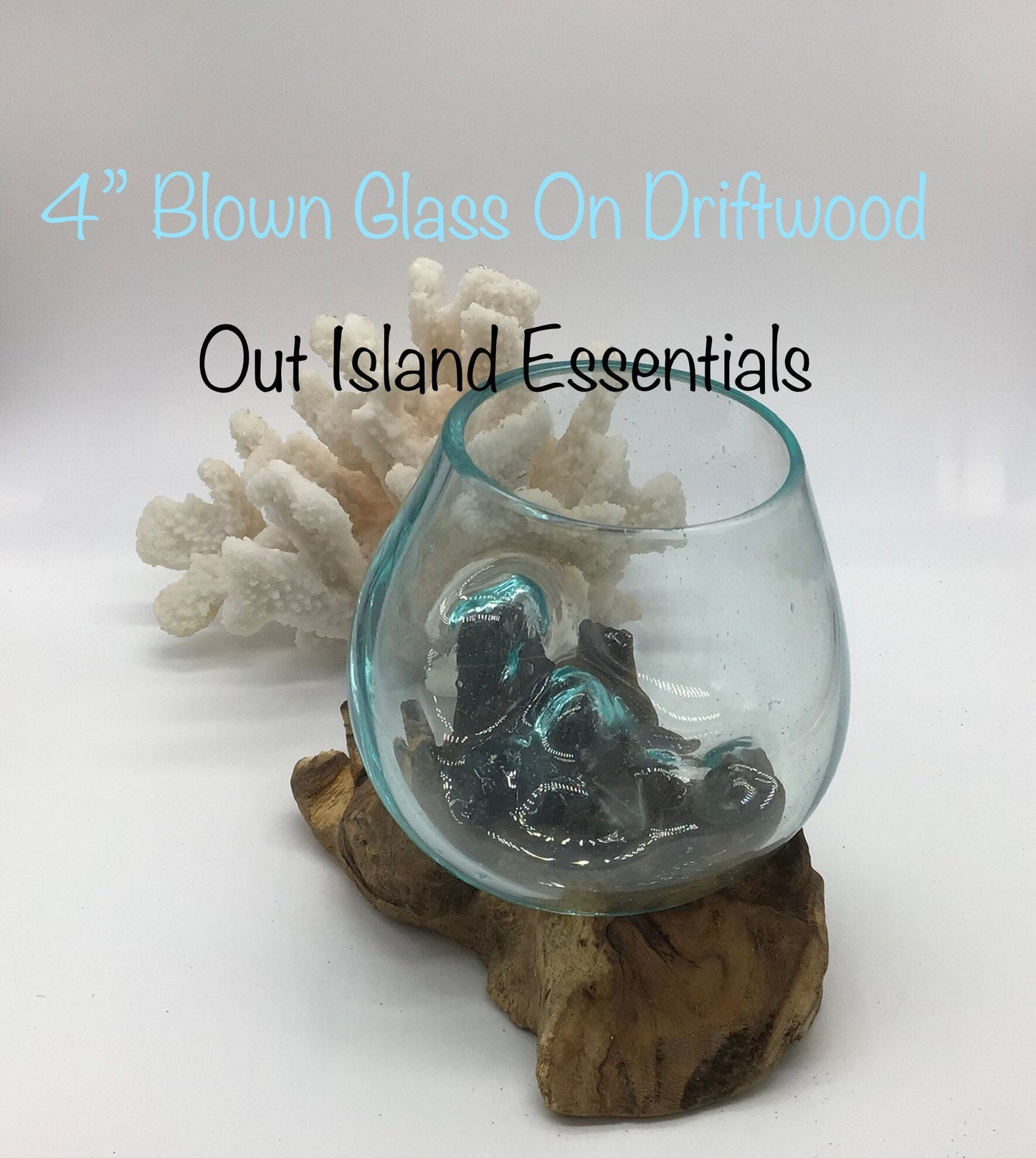 4" Blown Glass On Driftwood, Glass Terrariums One Of A Kind Pieces