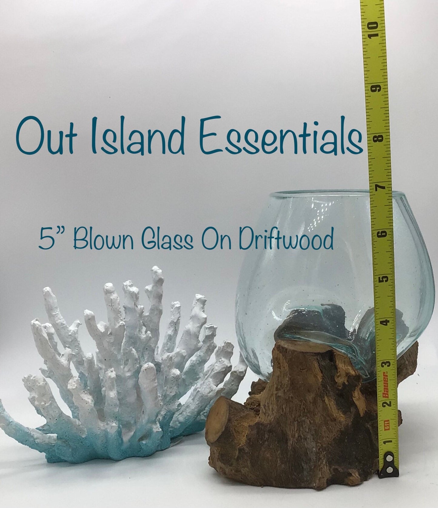 5" Blown Glass On Driftwood, Glass Terrariums, One Of A Kind Pieces