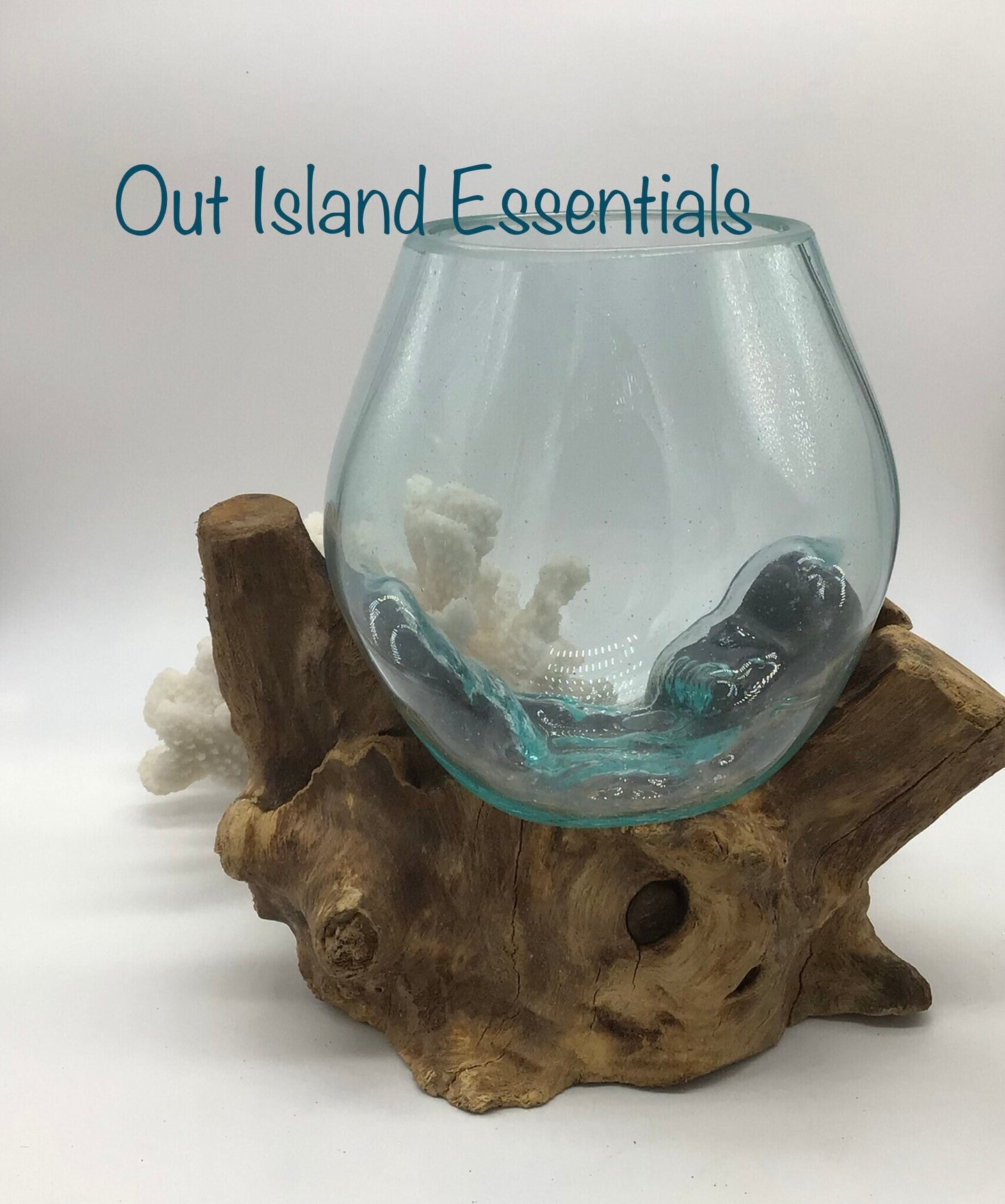 6" Blown Glass On Driftwood Terrariums, One Of A Kind Pieces