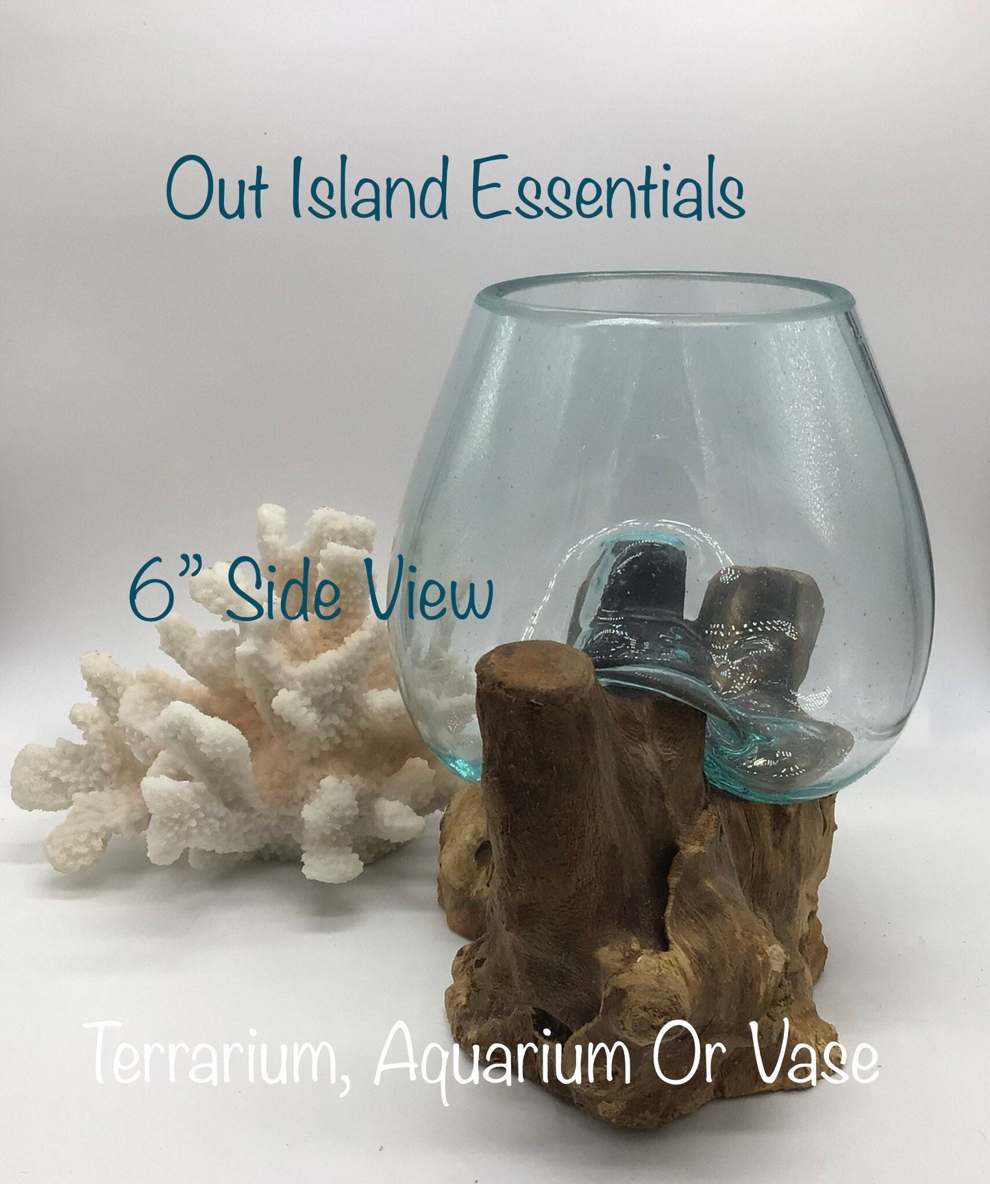 6" Blown Glass On Driftwood Terrariums, One Of A Kind Pieces