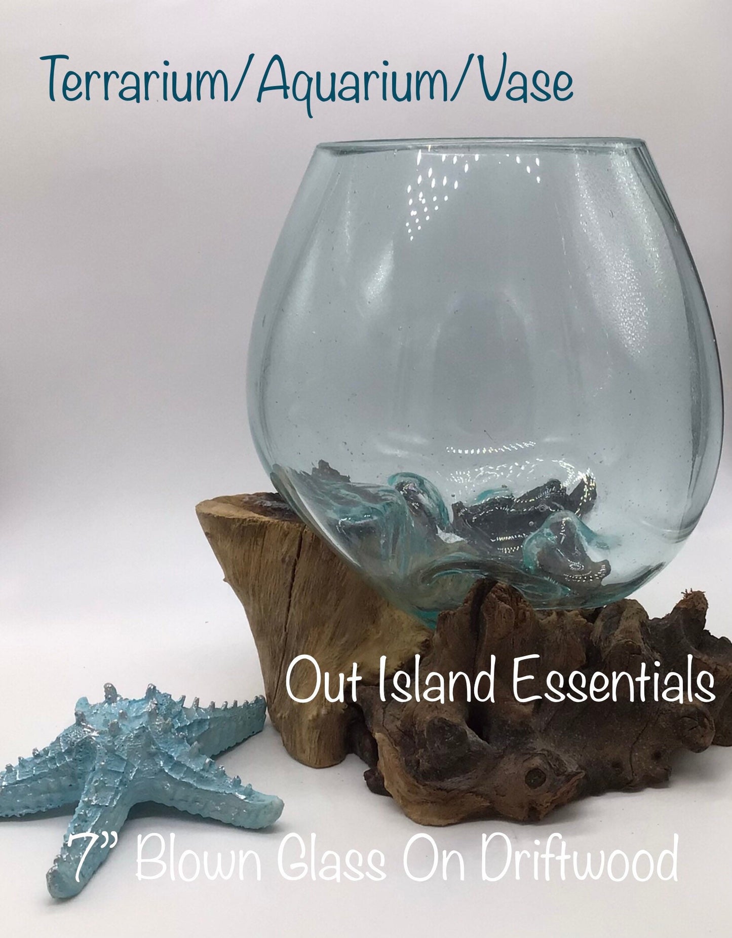 7" Blown Glass On Driftwood, Glass Terrariums, One Of A Kind Pieces