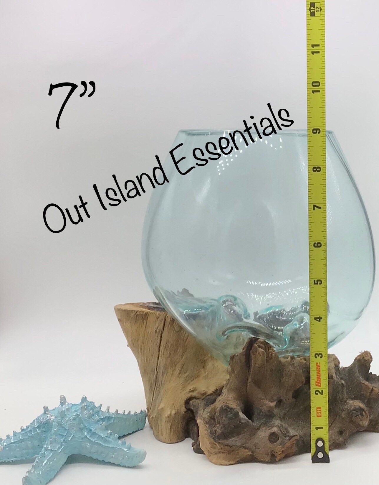7" Blown Glass On Driftwood, Glass Terrariums, One Of A Kind Pieces