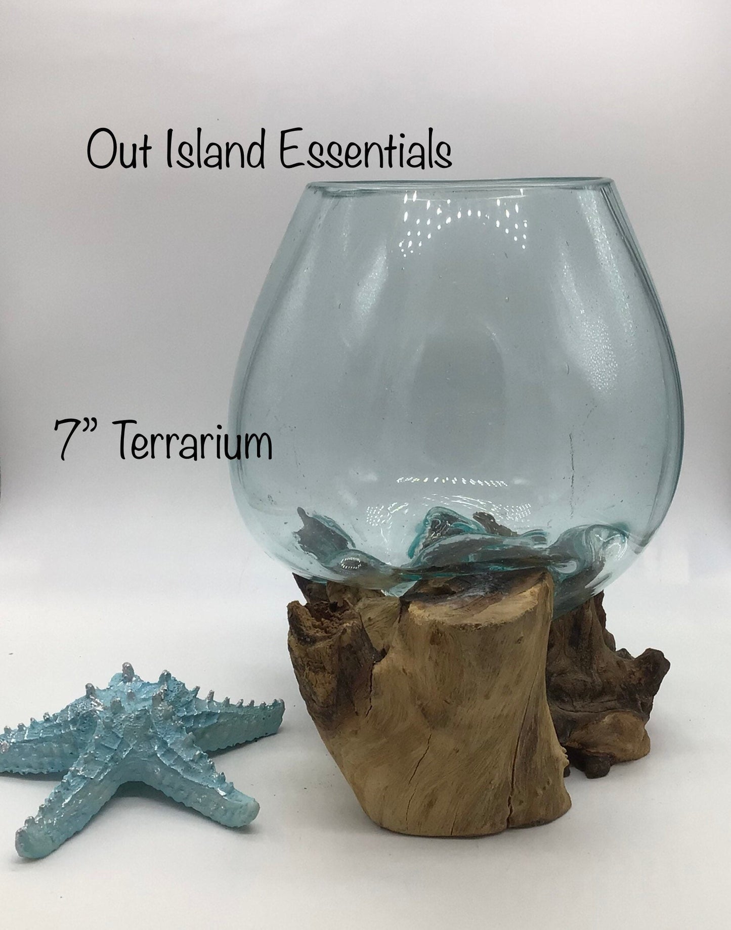 7" Blown Glass On Driftwood, Glass Terrariums, One Of A Kind Pieces