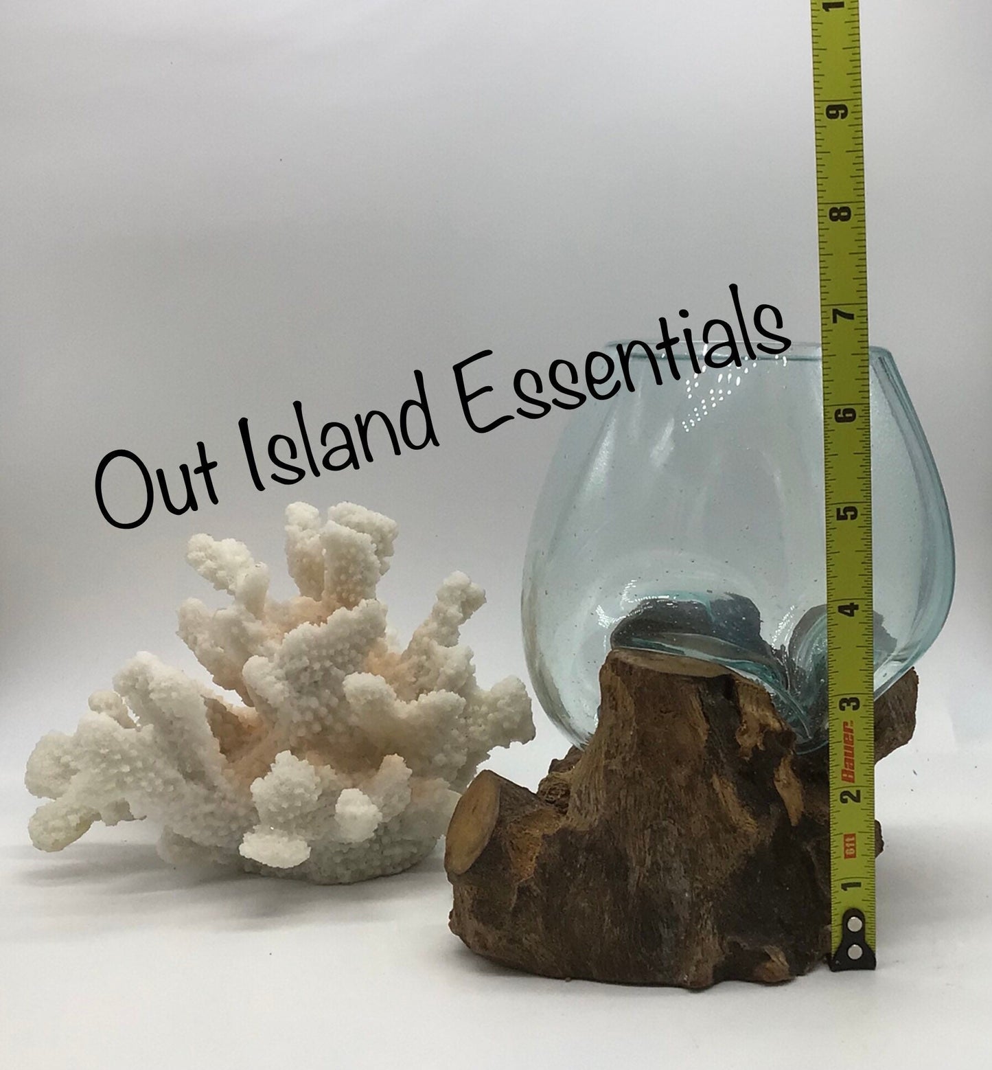 5" Blown Glass On Driftwood, Glass Terrariums, One Of A Kind Pieces