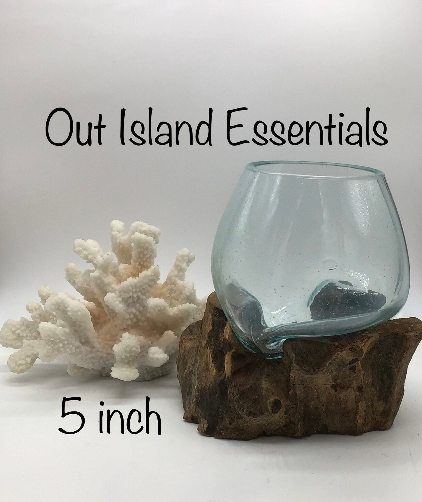 5" Blown Glass On Driftwood, Glass Terrariums, One Of A Kind Pieces