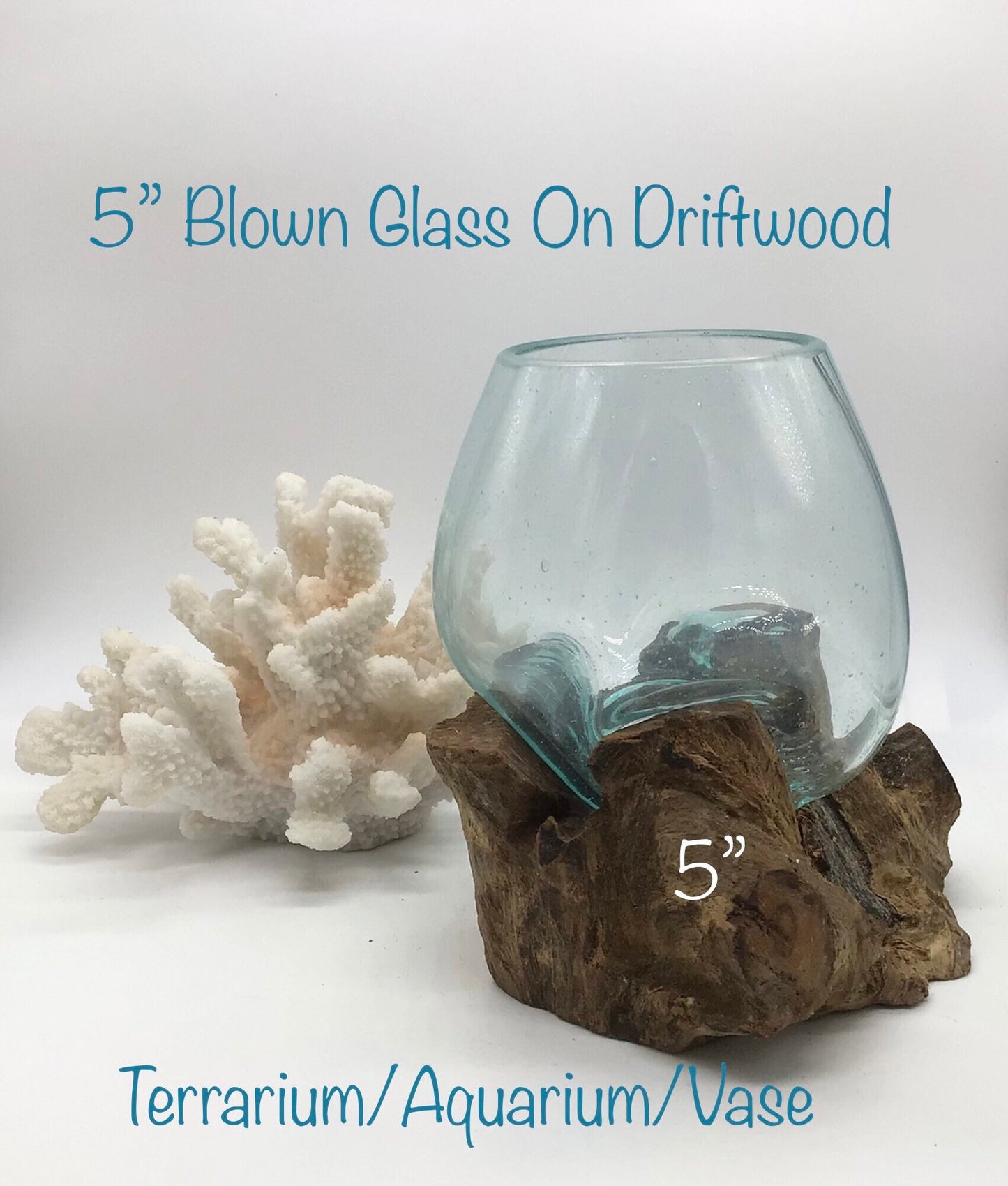 5" Blown Glass On Driftwood, Glass Terrariums, One Of A Kind Pieces